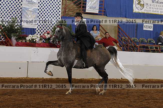 Proof 11r12_3045