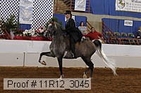 11r12_3045 proof