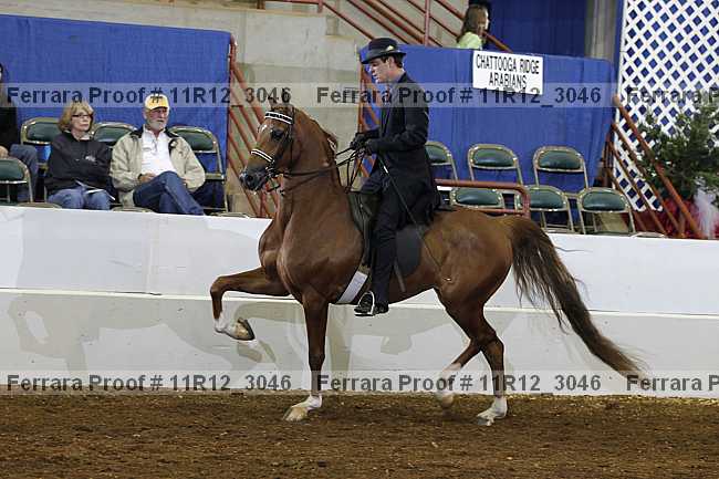 Proof 11r12_3046