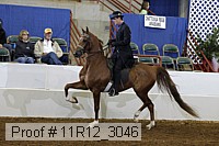 11r12_3046 proof