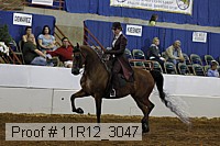 11r12_3047 proof