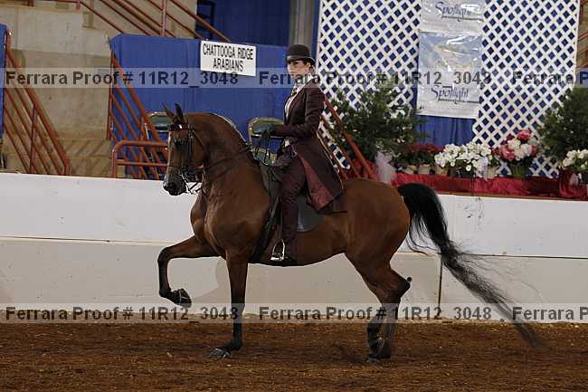 Proof 11r12_3048
