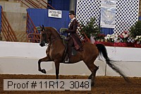11r12_3048 proof