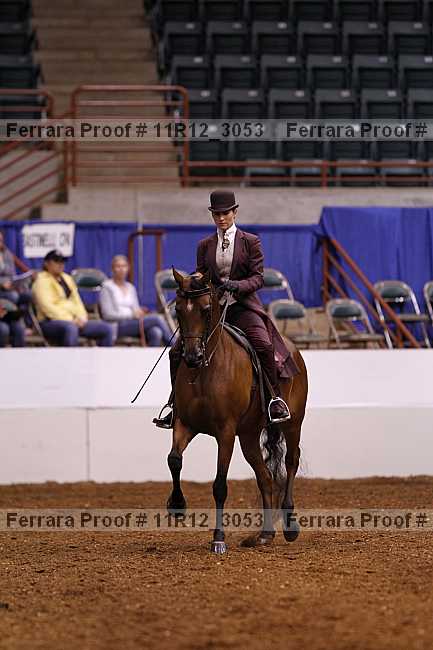 Proof 11r12_3053