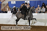 11r12_3054 proof