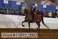 11r12_3062 proof