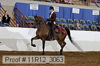 11r12_3063 proof