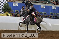 11r12_3067 proof