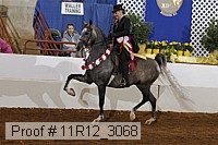 11r12_3068 proof