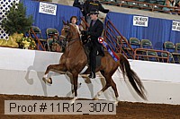 11r12_3070 proof