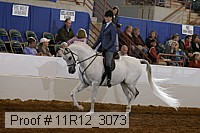 11r12_3073 proof
