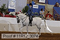 11r12_3074 proof