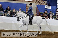 11r12_3075 proof