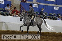 11r12_3076 proof