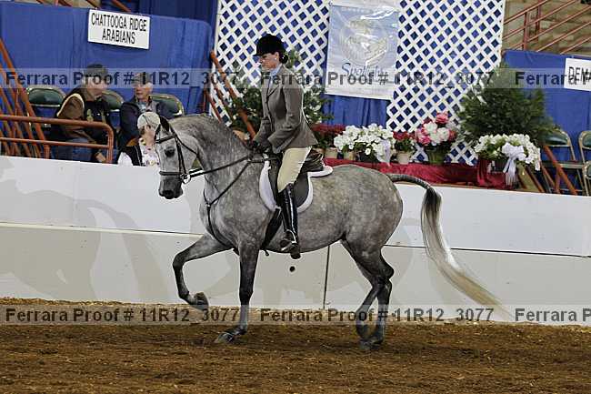 Proof 11r12_3077