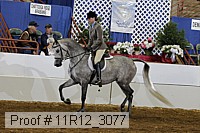 11r12_3077 proof