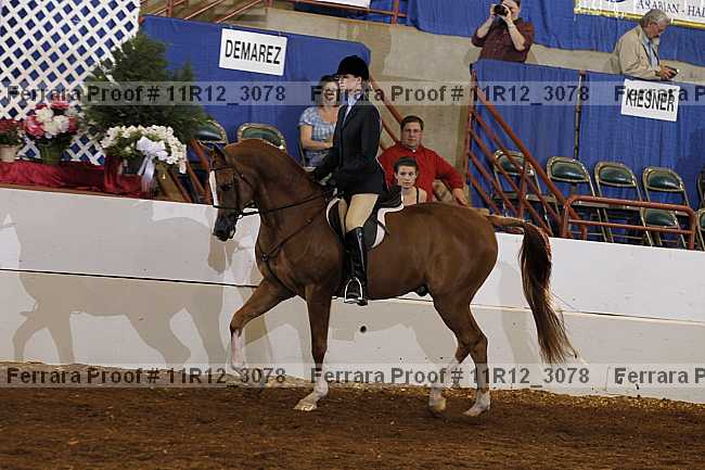 Proof 11r12_3078