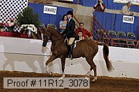 11r12_3078 proof