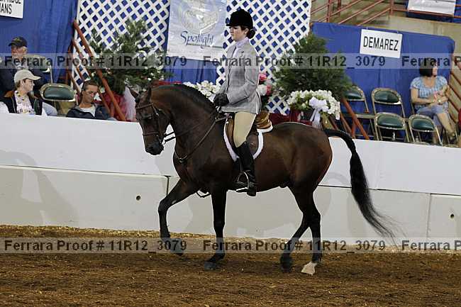 Proof 11r12_3079