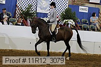 11r12_3079 proof