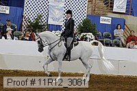 11r12_3081 proof