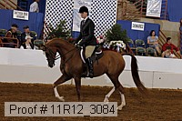 11r12_3084 proof