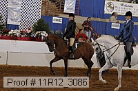 11r12_3086 proof