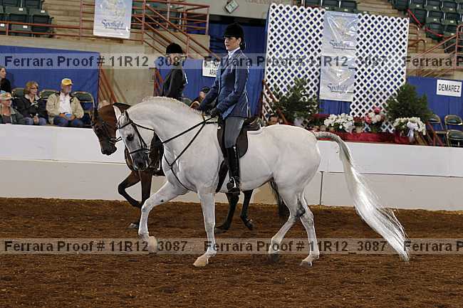 Proof 11r12_3087