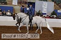 11r12_3087 proof