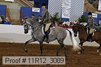11r12_3089 proof