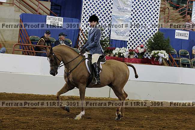 Proof 11r12_3091