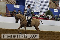 11r12_3091 proof