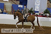 11r12_3092 proof