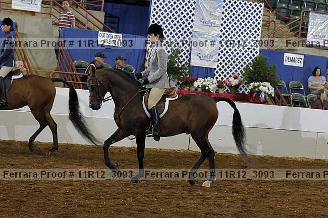 Proof 11r12_3093