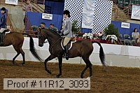 11r12_3093 proof