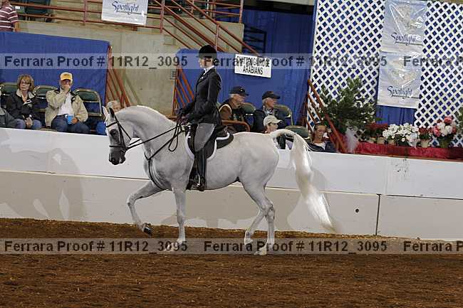 Proof 11r12_3095