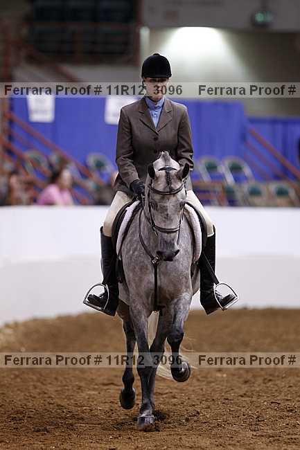 Proof 11r12_3096