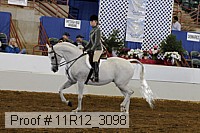 11r12_3098 proof