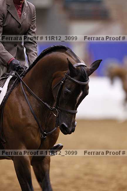 Proof 11r12_3099