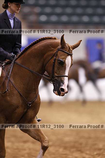 Proof 11r12_3100