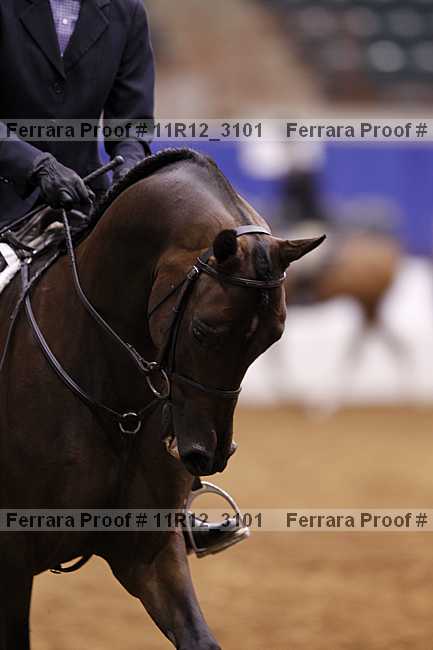 Proof 11r12_3101