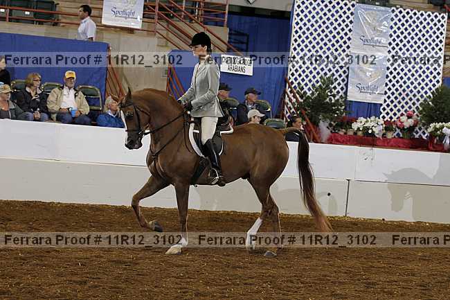 Proof 11r12_3102