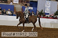 11r12_3102 proof
