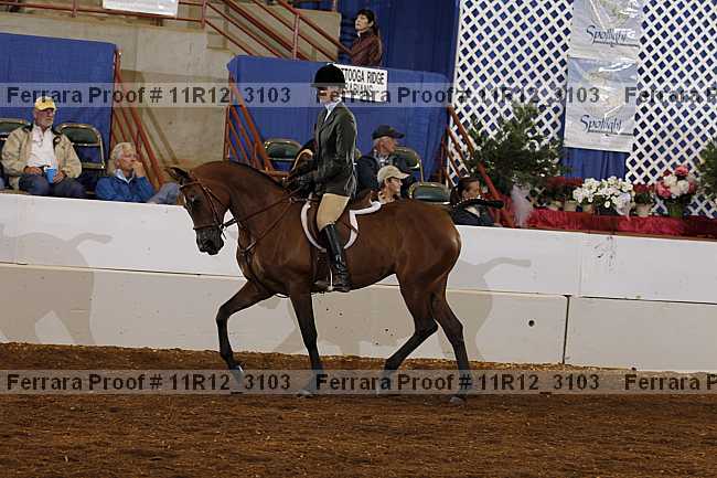 Proof 11r12_3103
