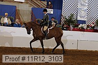 11r12_3103 proof