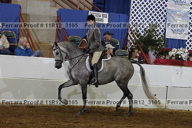 Proof 11r12_3105