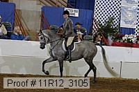 11r12_3105 proof