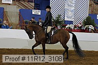 11r12_3108 proof