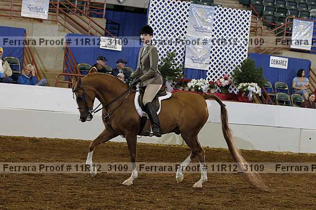 Proof 11r12_3109