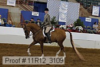 11r12_3109 proof